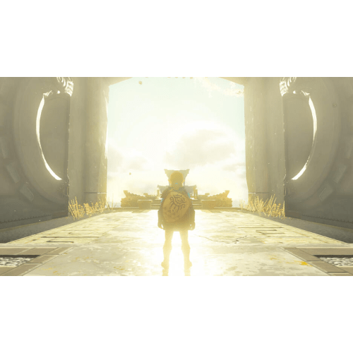 The Legend Of Zelda Tears Of The Kingdom SWITCH IT The Legend Of Zelda Tears Of The Kingdom SWITCH IT